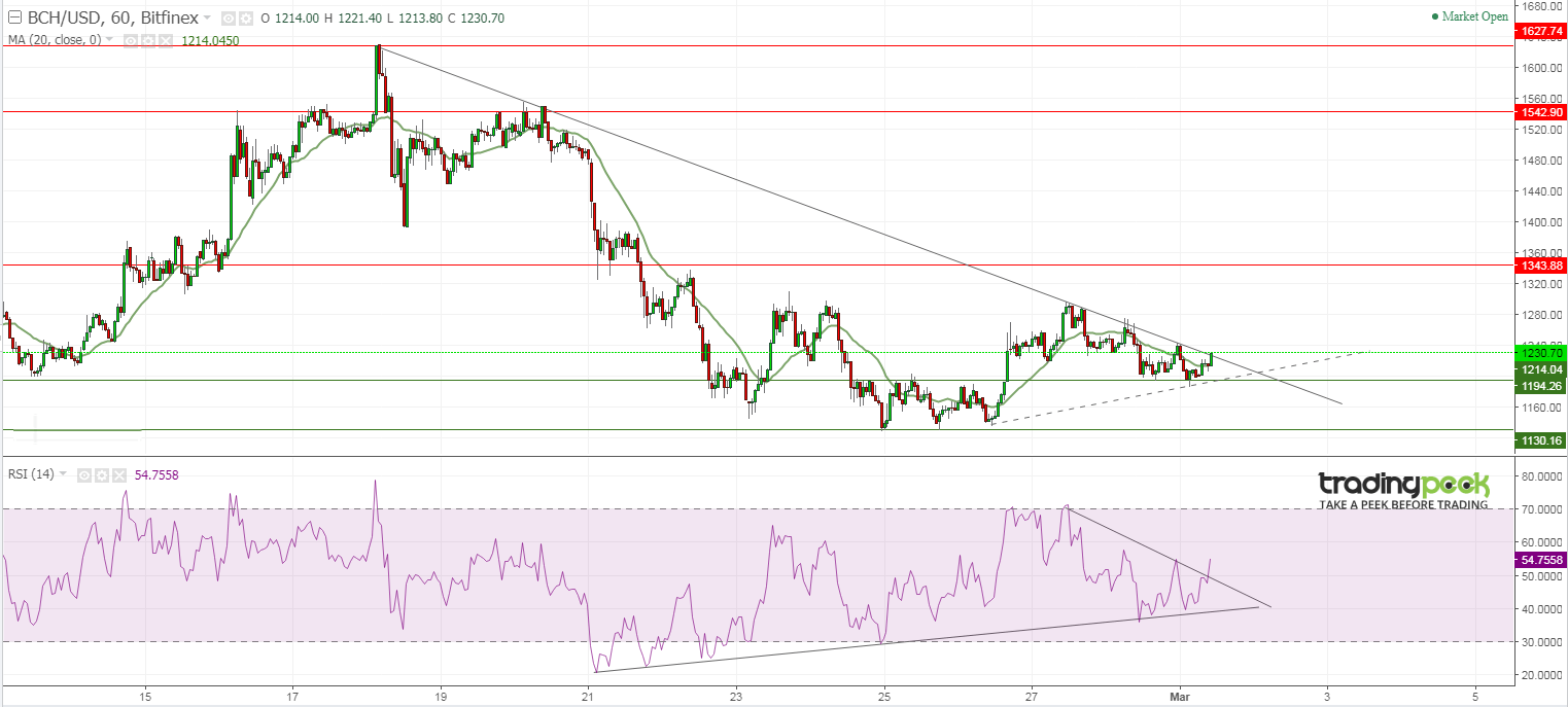 Bitcoin Cash Price