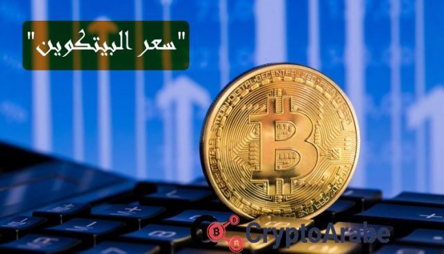 يتوقع توم لي ارتفاع سعر البيتكوين 