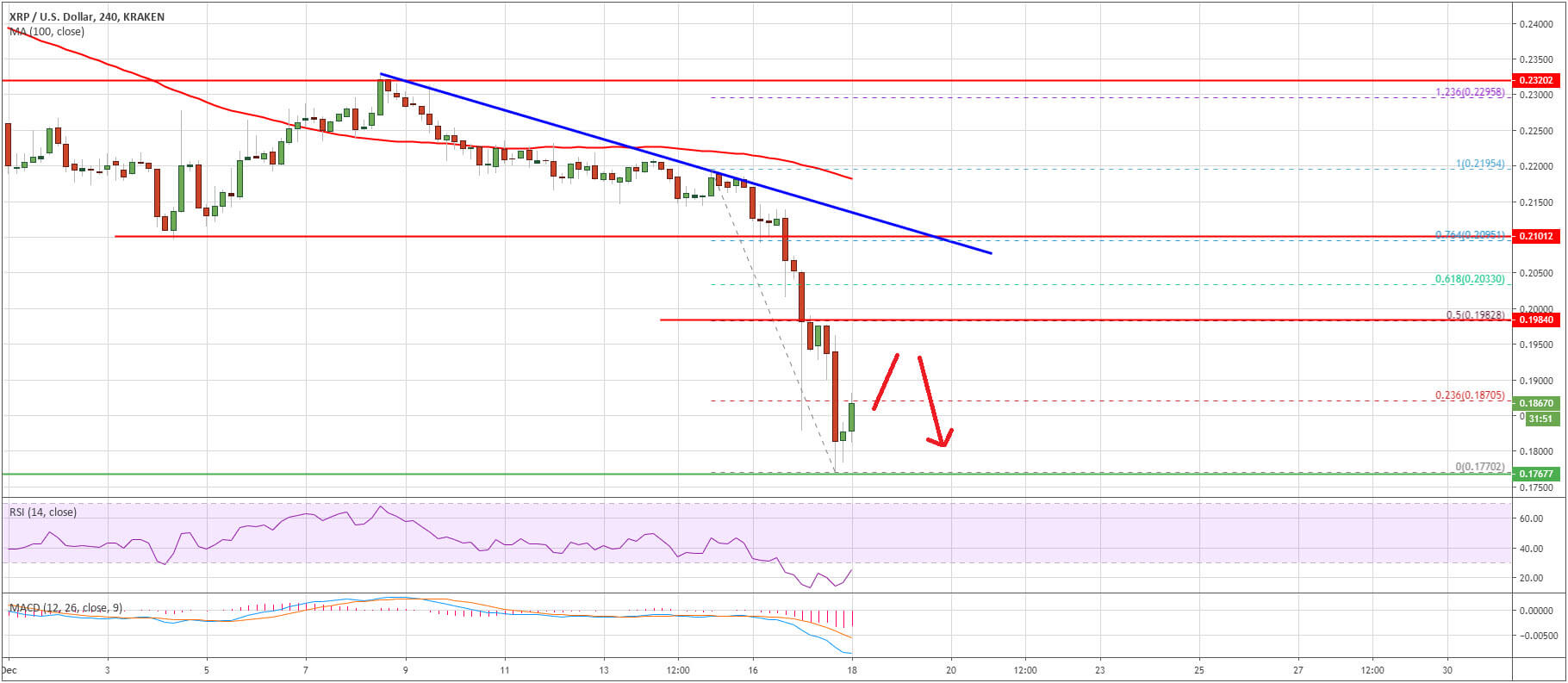 ثيران XRP